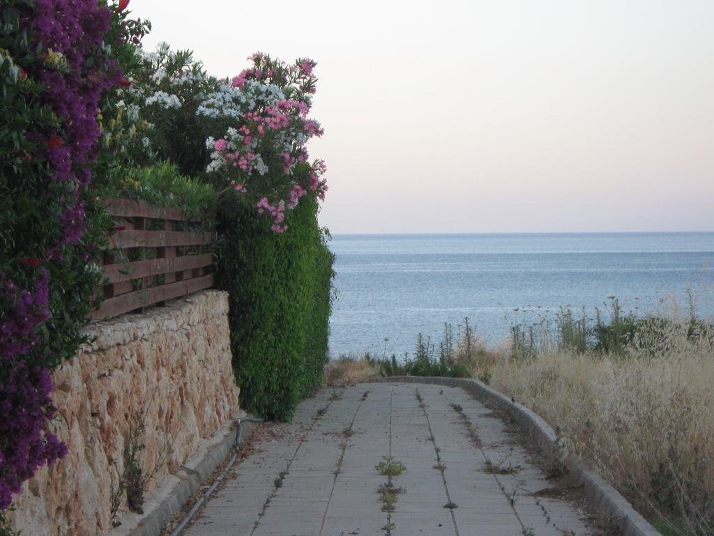 Villa Pergia Latchi Полис Стая снимка